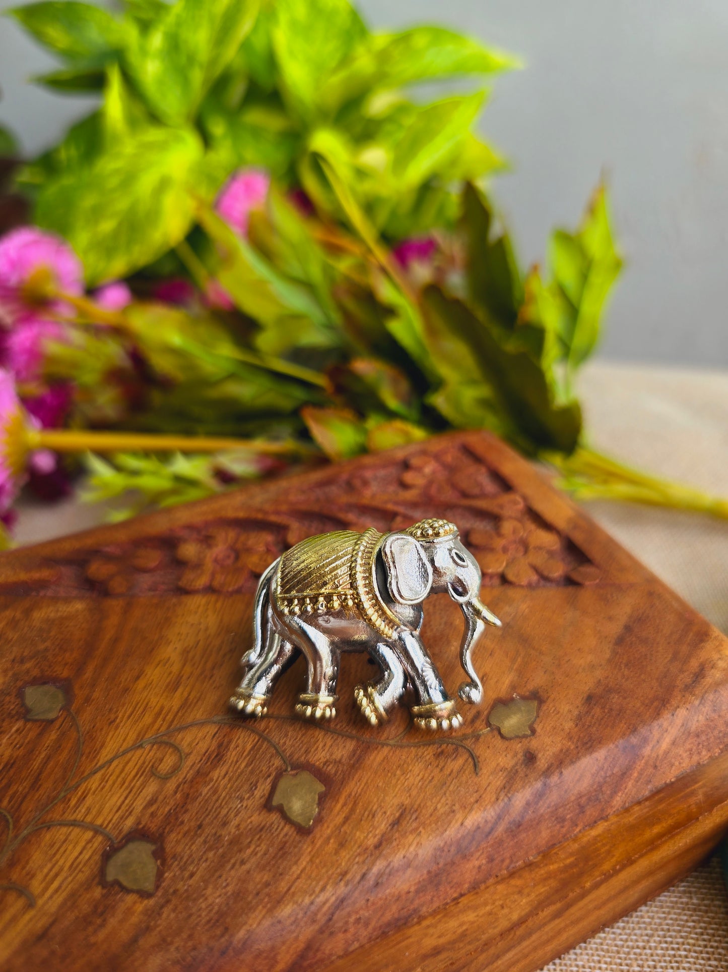 Fusion elephant ring